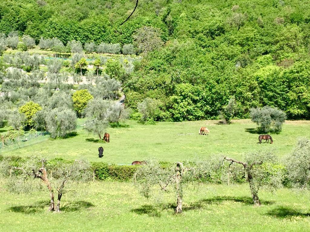Agriturismo Cervano Toscolano-Maderno Exterior foto